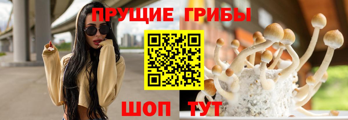Псилоцибиновые грибы Psilocybe  Галлюциногенные грибы ЛСД  Кунгур  Вход с VPN 